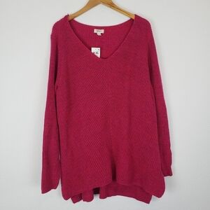 Style & Co v-neck knit tunic top